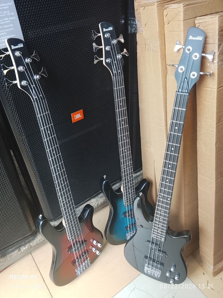 Guitar